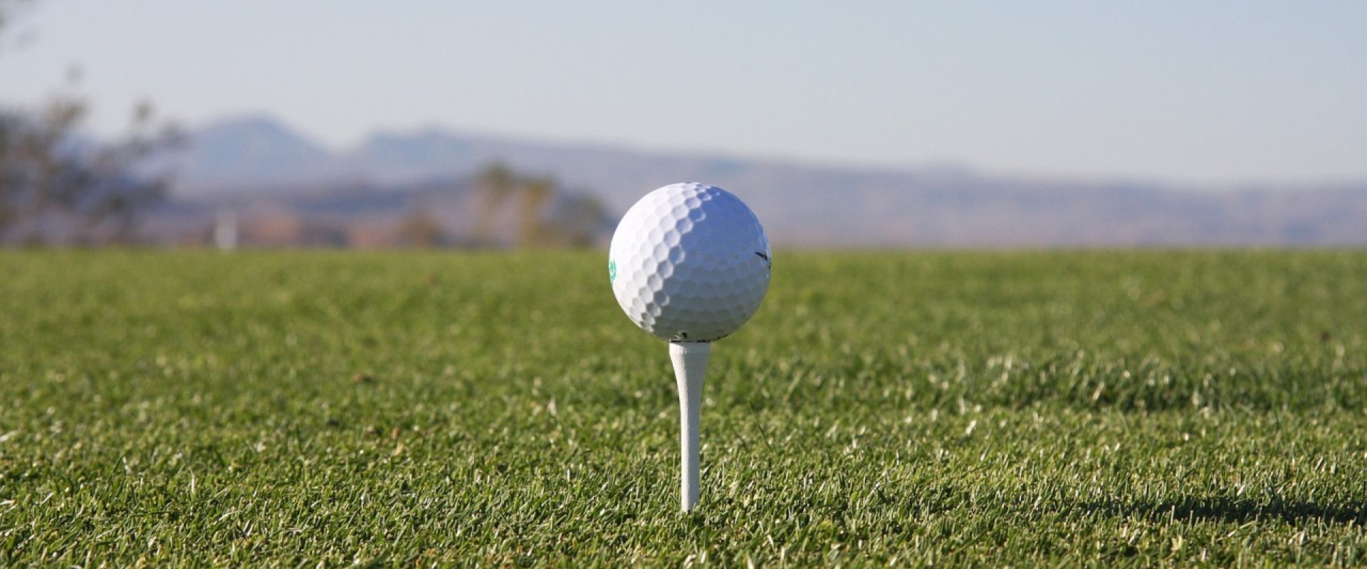Local Golf Courses